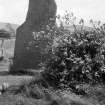 Macbeth's Stone. View of standing stone from WNW