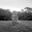 Avinagillan, standing stone, general view.