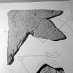 View of Garbeg Pictish symbol stone fragment.
