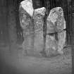 Kingarth standing stones. Central stone from W.