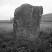 Standing stone, Hill of Callander, NW of Crieff.