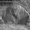 View of face of Tillytarmont Pictish symbol stone.