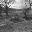 View of southern farmstead from north; detail of corn-drying kiln bowl.