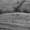 View of hut near farmstead.