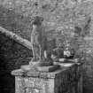 Drummond Castle. Statue of dog at foot of stone stair (no.3 on plan), from South East.