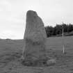 View of East-North-East stone from South-East. (Scale in 0.5m divisions)