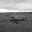 View of West-South-West stone from West.