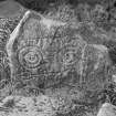 View of face of Congash no.2 Pictish symbol stone, Parc-an-Caipel.