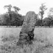 Glenkindie standing stone. View from NW.