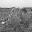 View of face of Broomend of Crichie Pictish symbol stone.