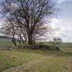 View of cairn from N