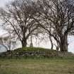 View of cairn from SSW