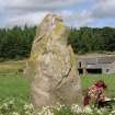 View from SW of the ENE stone