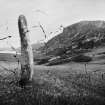 Standing stones at Lower Kilchattan, Colonsay .