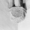 Balbegno Castle. Interior.
Detail of carved rose vaulting corbel in hall.