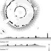 Delfour ring cairn, plan and sections. RCAHMS publication illustration. 600dpi copy of Illustrator file GV 005484.