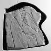 View of Ardross horse Pictish symbol stone fragment on display in Inverness Museum.