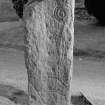 View of face of Pictish symbol stone, Dingwall churchyard.