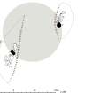 RCAHMS publication drawing: plan of Stoneyfield, stone circle