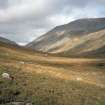 Currour Bothy. Mar Lodge condition survey 1996