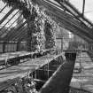 Interior. N greenhouses, detail