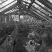 Interior. View of W end of fernery showing rockwork
