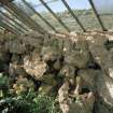 Interior. Fernery, rock formations, detail