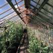 Interior. View of E greenhouse from S