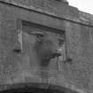 Athelstaneford Mains.
Detail of bovine sculpture above main entrance in N side of steading.