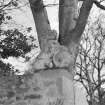 East gate pier, sculptured beast on top, detail