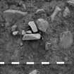Area 1 F1541  Post-hole pre-excavation, from N