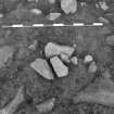 Area 1 F1541  Post-hole pre-excavation, from S