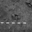 Area 1 F1543  Post-hole pre-excavation, from N