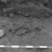 Area 1 F1311  Charcoal, from E