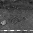 Area 1 F1311  Charcoal, from E