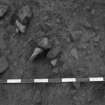 Area 1 F1029?  Pre-excavation, from N