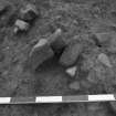 Area 1 F1029?  Pre-excavation, from N