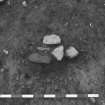Area 1 F103  Post-hole? pre-excavation, from N