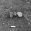 Area 1 F1059  Half-section, from W