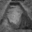 Newhall Point excavation archive
Frame 2: Trench D, looking S. F213, Graves PG20, G37, G33, G32, G35.
