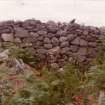 Photograph, copied from OS '495' card. Cairn 'B' - interior from E showing recent wall face