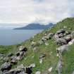 Eigg, Poll Duchaill, Fort. View from S of W wall.