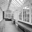 Royal Infirmary. Interior, general view of glasshouse.