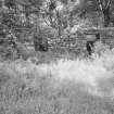 General view of the remains of Kirkdale church.