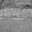 Newark Castle
Frame 20 - North end of paving F105 - from east