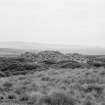 Photograph of the cairn taken from the NW.