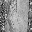 Detail of bottom section of West Highland stone fragments, St Donnan's Church, Kildonnan, Eigg.