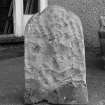 Rear view of carved stone from St Donnan's Church, Kildonnan, Eigg, now preserved at Cleadale.
