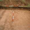 Broomhill, Newstead: rescue excavation archive
Frame 13: Road surface (F003) looking from W to E.






