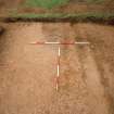 Broomhill, Newstead: rescue excavation archive
Frame 17: Road surface (F003) looking from E to W.






